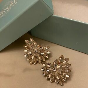 Park Lane Ellie Earrings